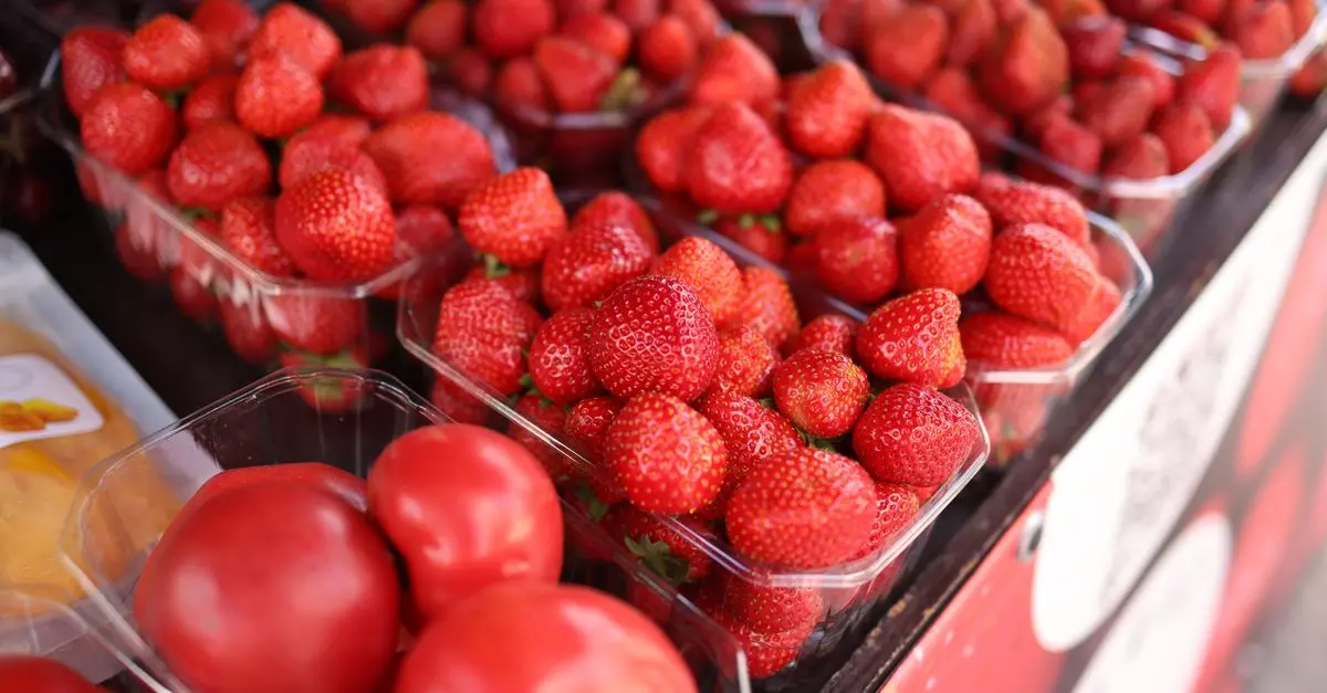 Comment ajuster votre plan d'alimentation saine pour chaque saison