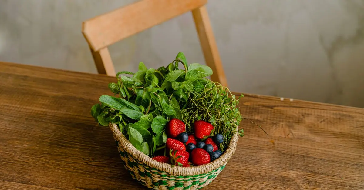Qu'est-ce qu'une alimentation durable ?