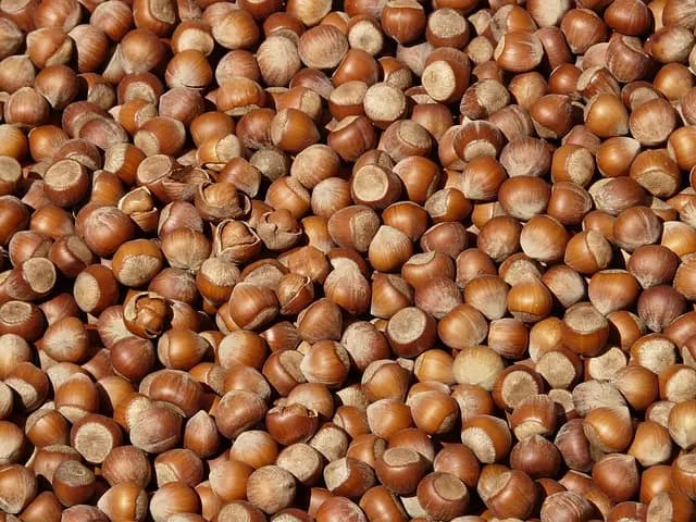 Les clés pour un plan d'alimentation saine et équilibré