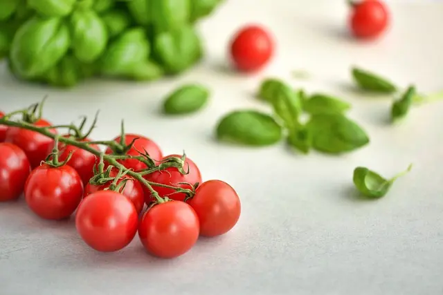 Comment élaborer un plan d'alimentation saine et équilibré