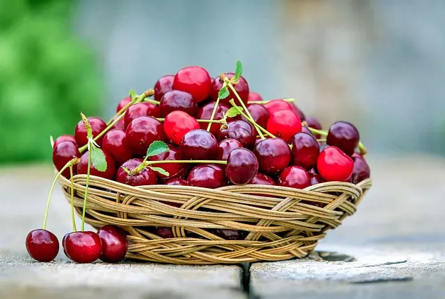 Comment intégrer des aliments de saison dans votre plan d'alimentation saine