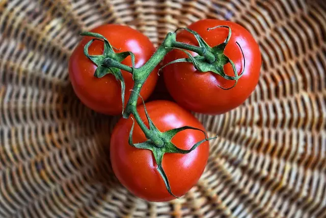 Comment créer un plan d'alimentation saine pour améliorer votre bien-être