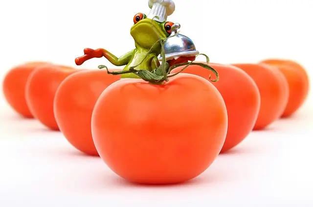 Les 10 erreurs à éviter dans votre plan d'alimentation saine