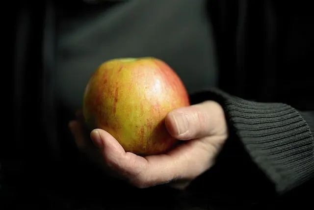 Comment créer un plan d'alimentation saine adapté à votre mode de vie