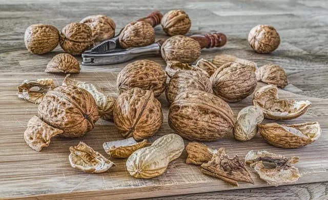 Les clés pour un plan d'alimentation saine réussi