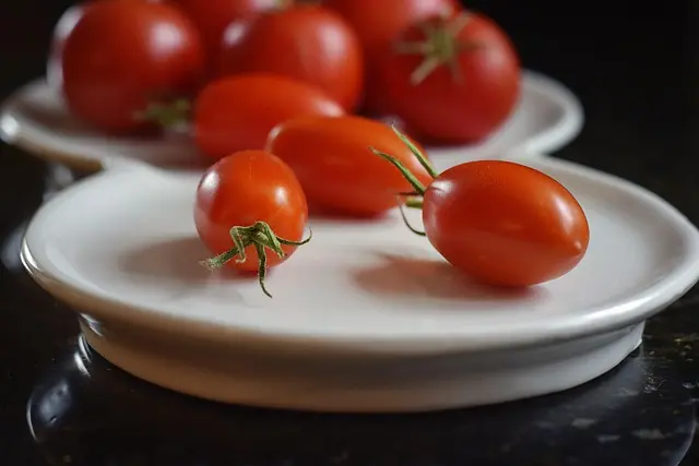 Les 10 Meilleurs Conseils pour Établir un Plan d'Alimentation Saine