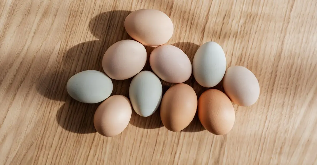 Les meilleures sources de protéines pour un plan alimentaire sain