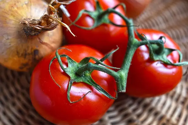 Comment créer un plan d'alimentation saine et équilibré en 5 étapes