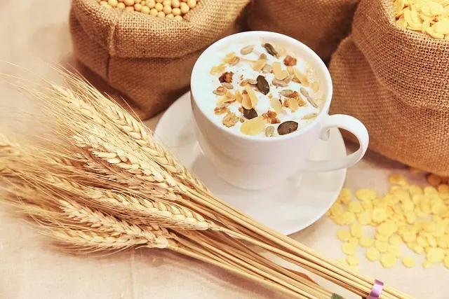 Comment établir un plan d'alimentation saine adapté à votre style de vie