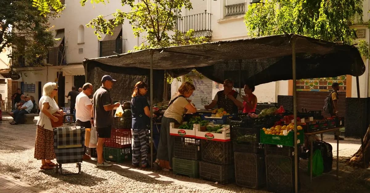 Les avantages des protéines végétales pour l'alimentation