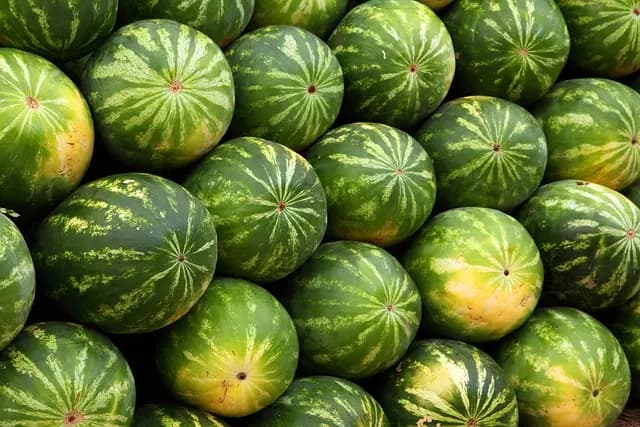 Comment ajuster votre plan d'alimentation saine au fil des saisons