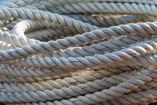 Les étapes pour créer un plan d'alimentation saine durable