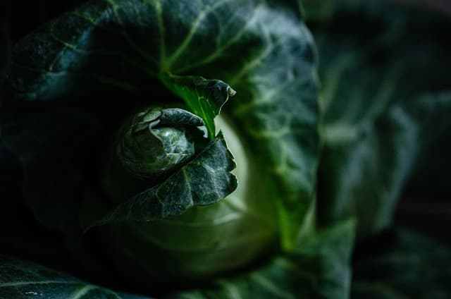 Comment créer une liste de courses pour un plan d'alimentation saine