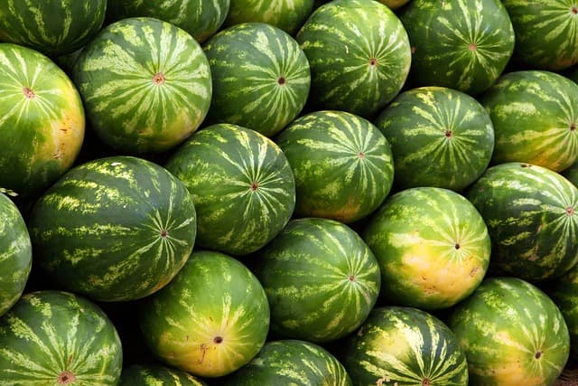 Comment ajuster votre plan d'alimentation saine pour chaque saison