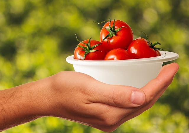 Les 10 secrets d'un plan d'alimentation saine réussi