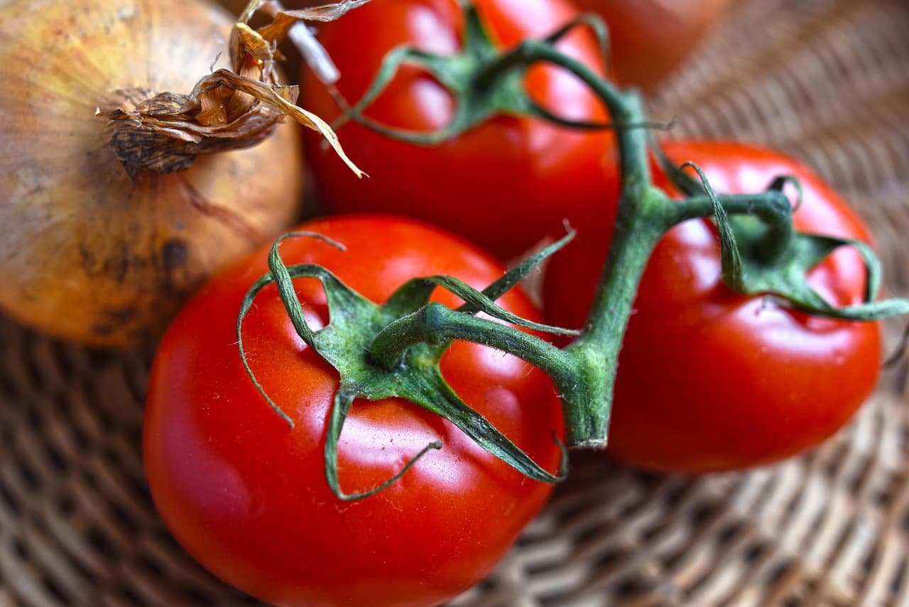 Les erreurs fréquentes à éviter dans votre plan d'alimentation saine