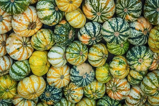 7 conseils pour adapter votre plan d'alimentation saine aux saisons